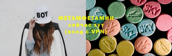хмурый Алексин