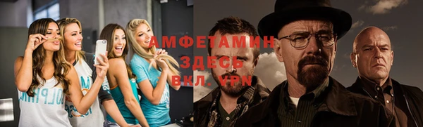 хмурый Алексин