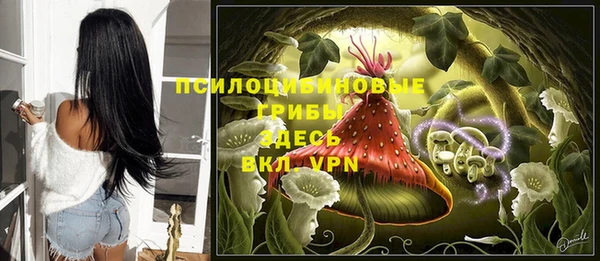 хмурый Алексин
