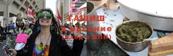 хмурый Алексин