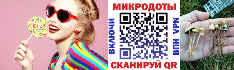 Галлюциногенные грибы Psilocybine cubensis  Покров 